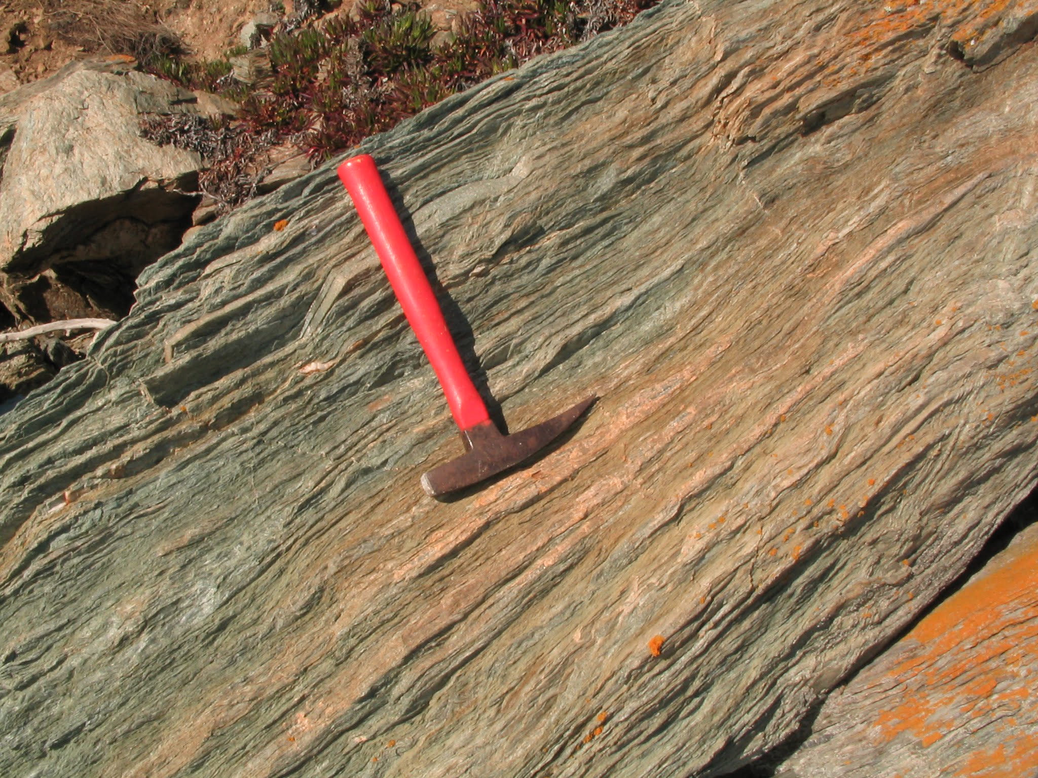 Kayaking Angel Island It’s All About the Blueschist Tsunami Rangers