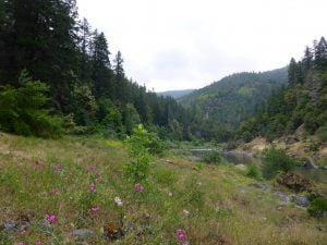Looking upriver from Zane Grey's cabin